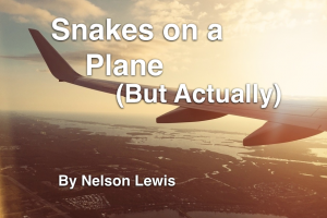 Snakes on a plane (But actually) by Nelson Lewis